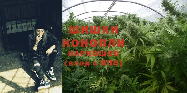 не бодяженный Новодвинск