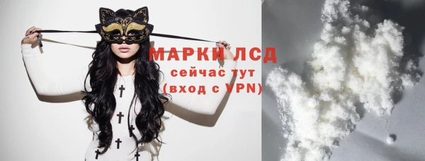 эйфоретик Бикин
