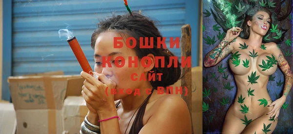 не бодяженный Новодвинск