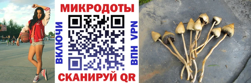 Псилоцибиновые грибы прущие грибы  Фрязино 