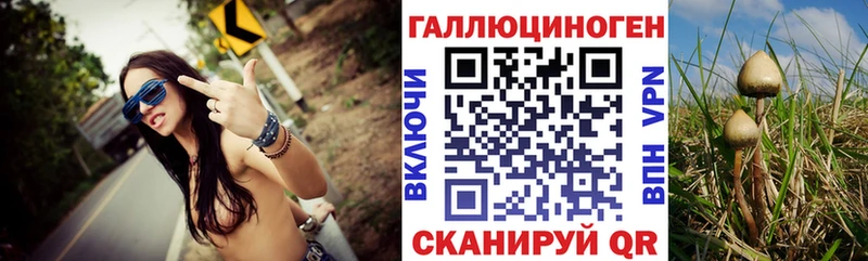 Галлюциногенные грибы Psilocybe Фрязино